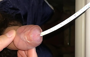 Urethral Insertion 4 porn photograph